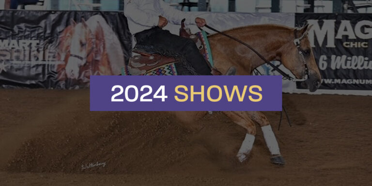 Read more about the article 2024 Show Season!