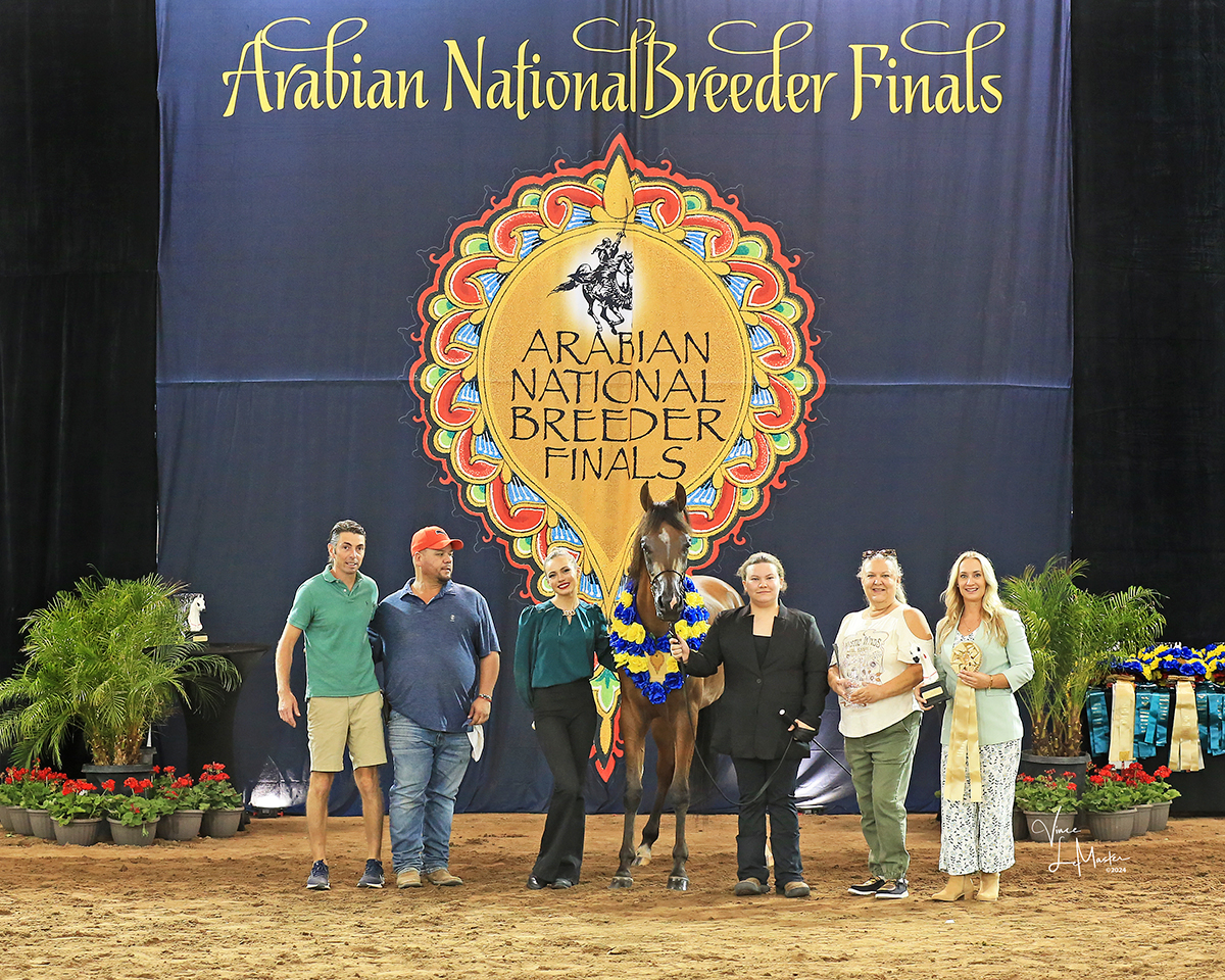 You are currently viewing 2024 Breeder Finals