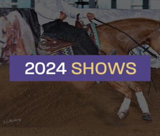 2024 Show Season! thumbnail picture
